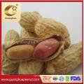 New Crop Roasted Peanuts with Factory Price